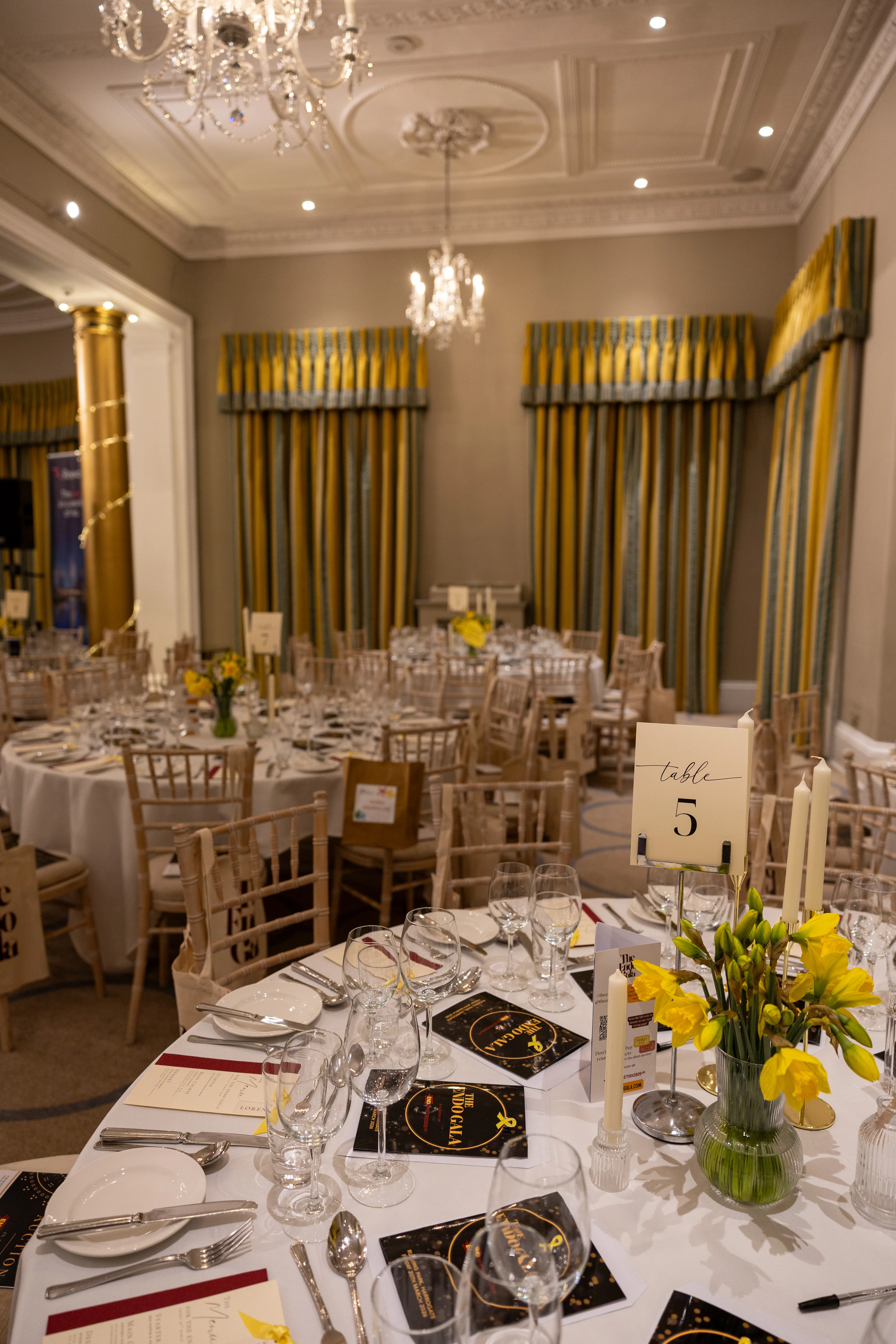 The Endo Gala 2026 - 1k4b0002