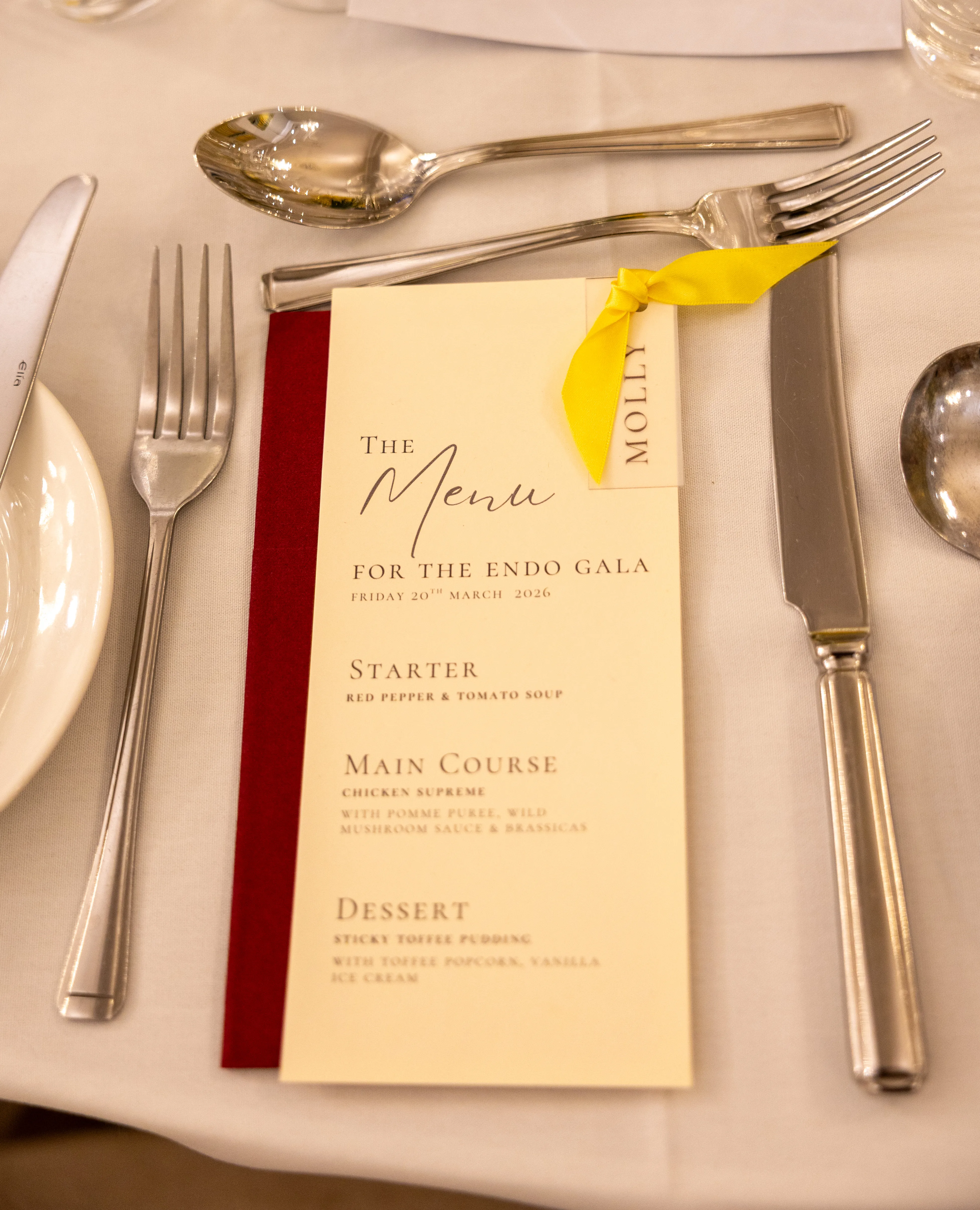 The Endo Gala 2026 - 1k4b0005