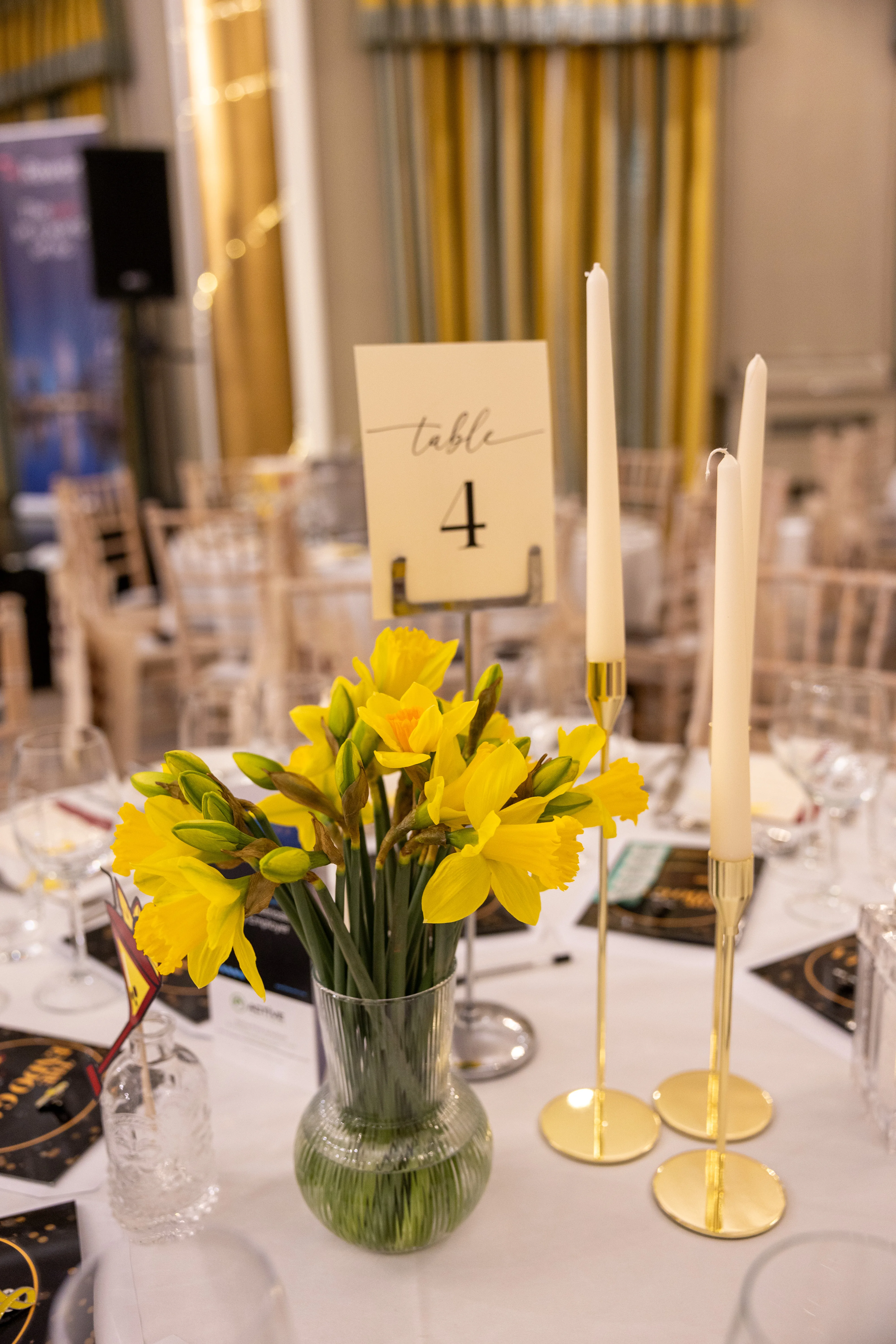 The Endo Gala 2026 - 1k4b0006