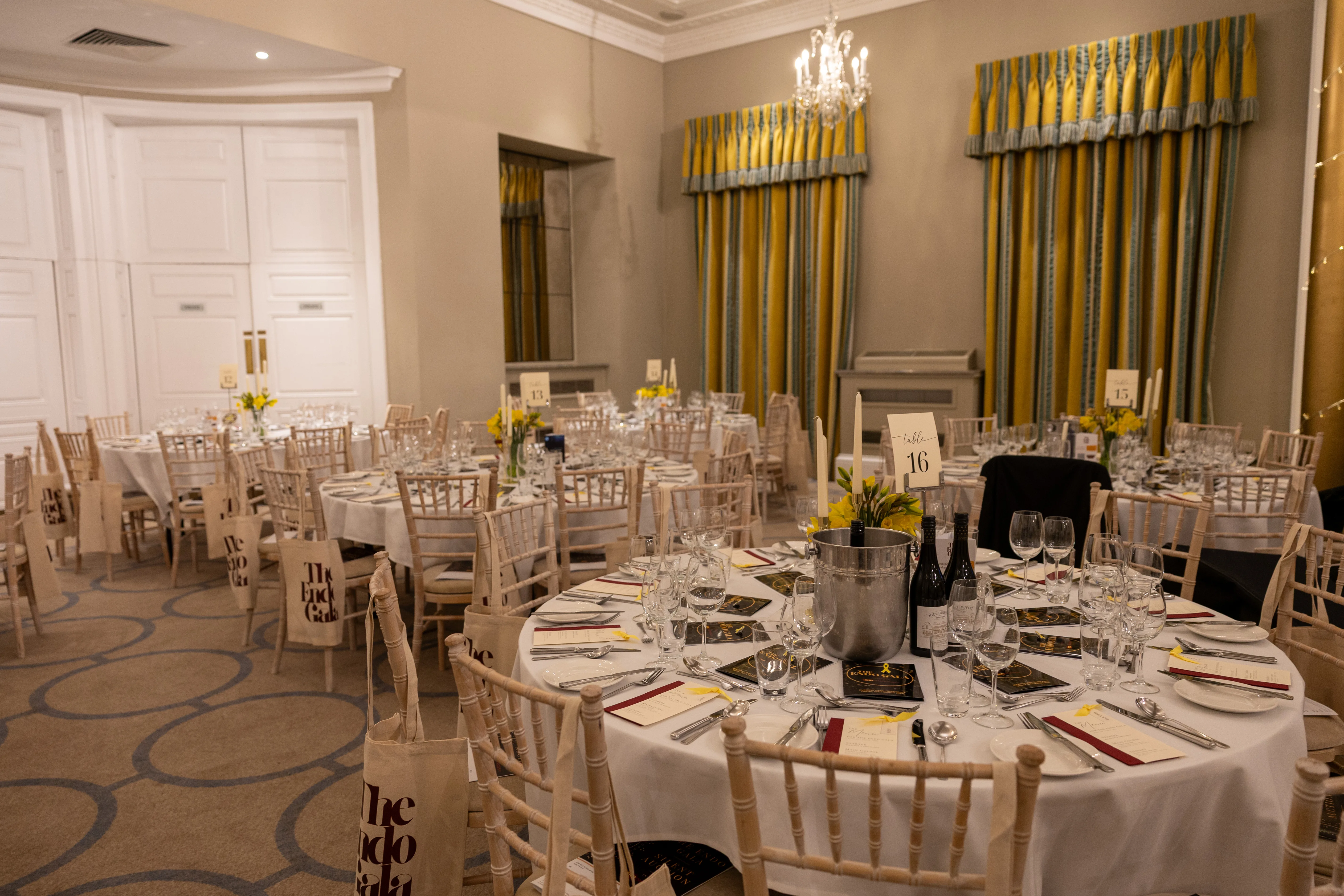 The Endo Gala 2026 - 1k4b0010