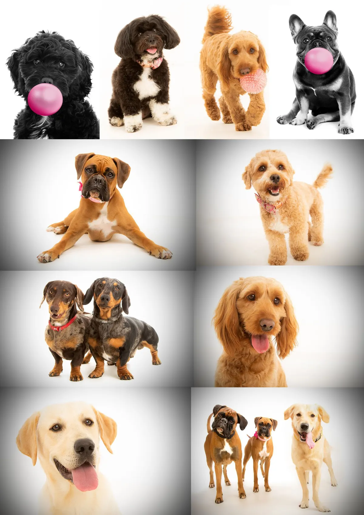 Phillip Anthony Photography voucher example 1